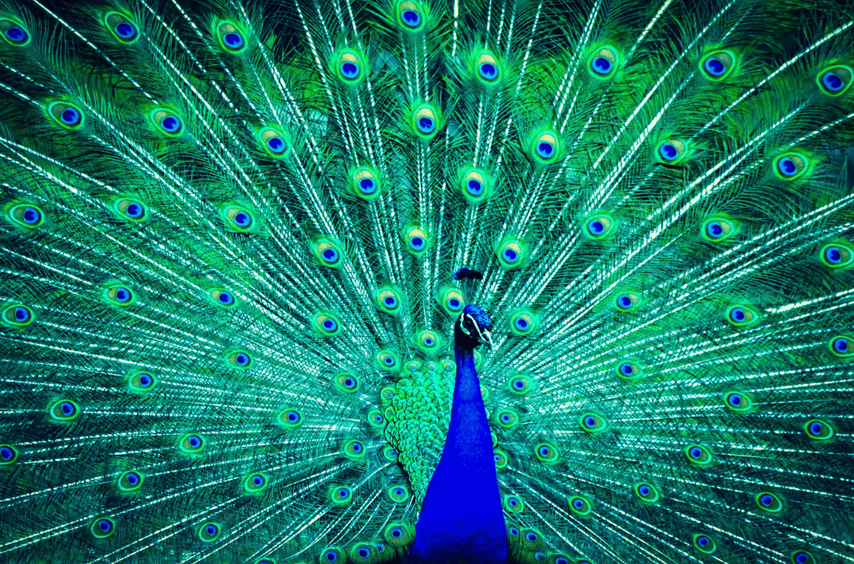 AI fashion design, artificial intelligence textile, fashion tech innovation