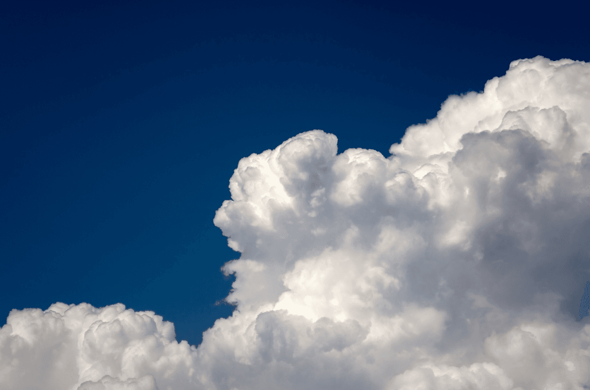 Open Source Non Significa Gratis