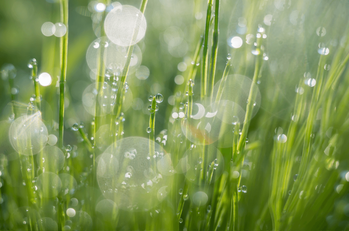 sviluppatore Quinck al computer con schermata di progetto software