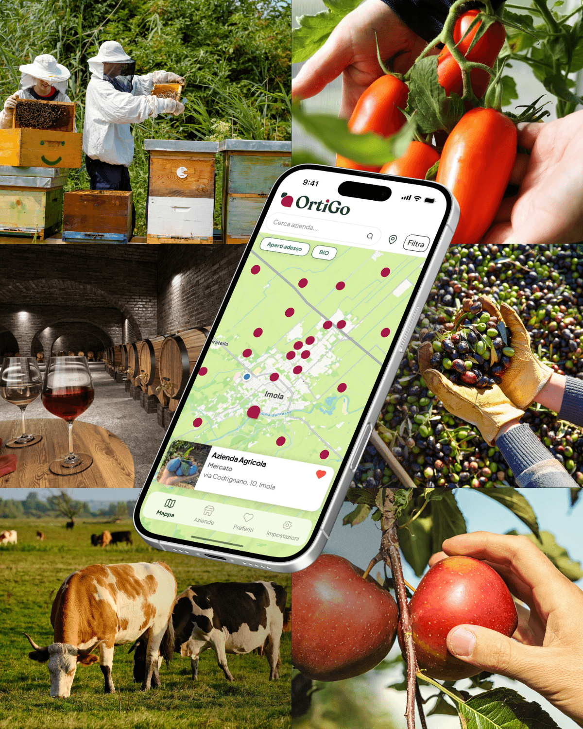 screenshot dell'app OrtiGo con mappa geolocalizzata delle aziende agricole vicine]