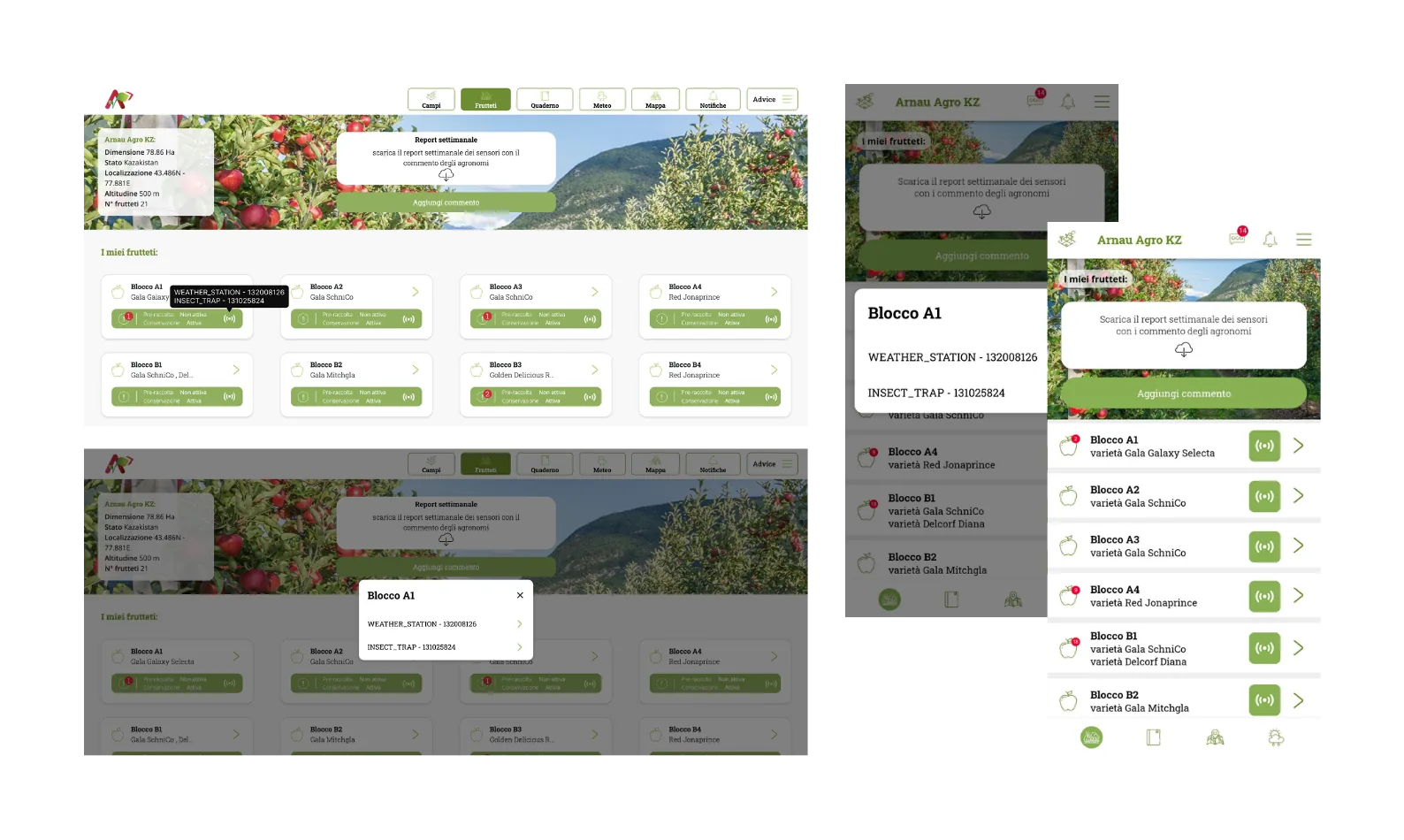 La piattaforma Agrinsight su desktop e su smartphone: la scheda dell'azienda con superficie, localizzazione e numero di frutteti, l'elenco dei blocchi con varietà e stato di pre-raccolta e conservazione, e i sensori collegati a ciascun blocco, dalla stazione meteo alla trappola per insetti.