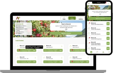 Anteprima del progetto Agrinsight: progetto AgriTech per la gestione remota dei frutteti