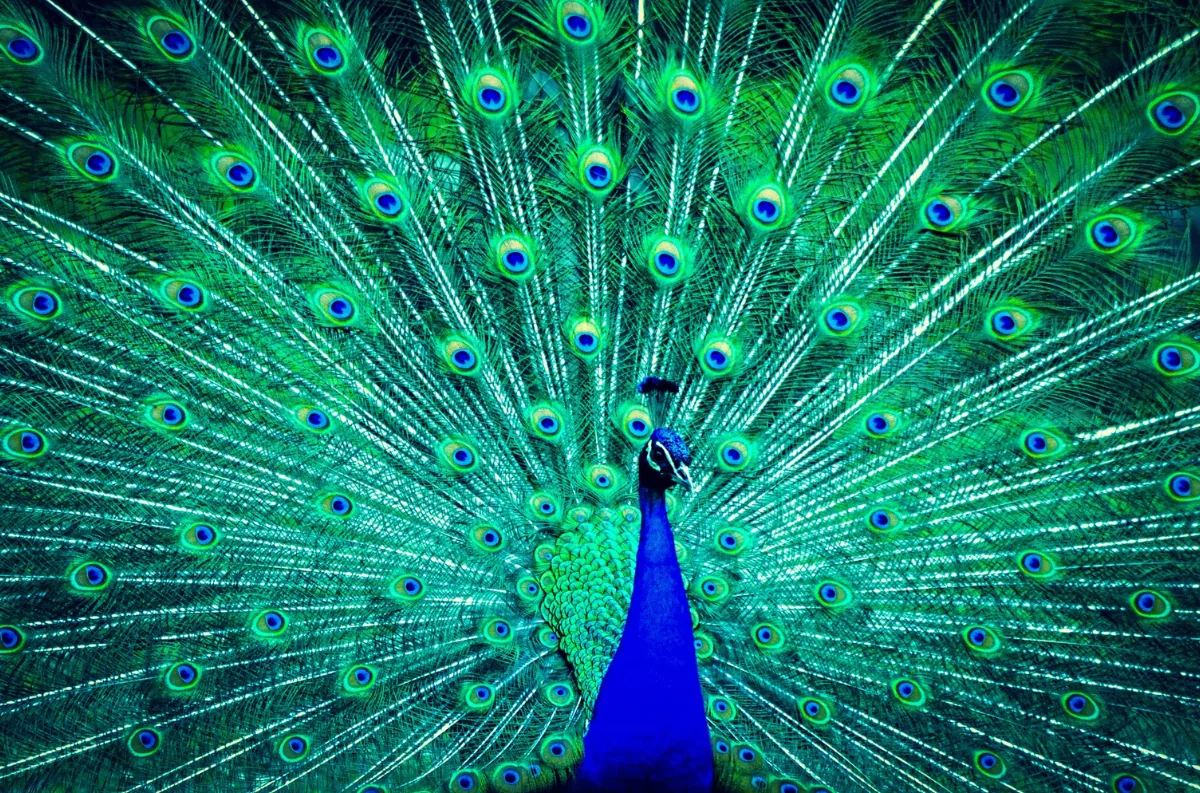 AI fashion design, artificial intelligence textile, fashion tech innovation