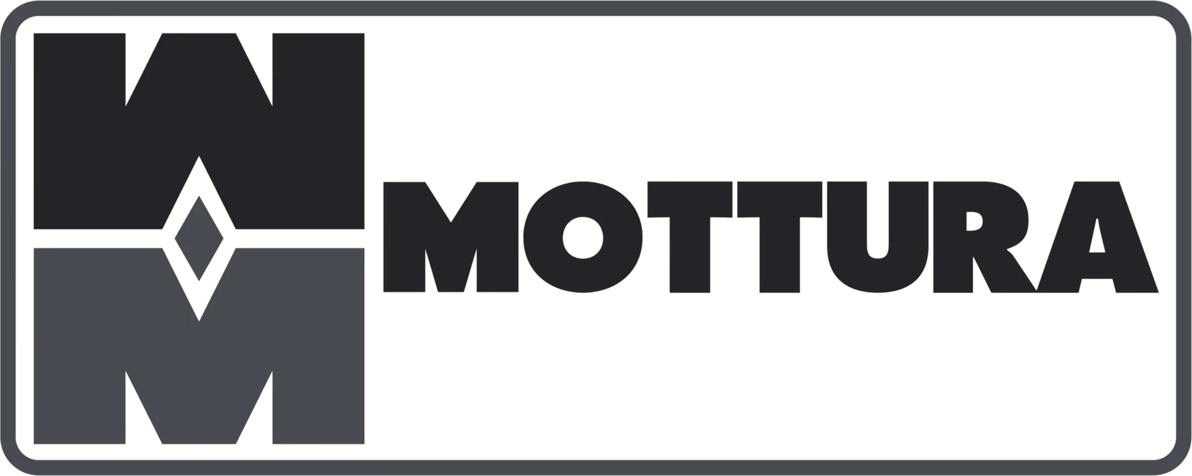 Assa Abloy (Mottura): logo del cliente